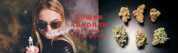 спиды Арсеньев