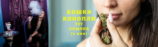 спиды Арсеньев