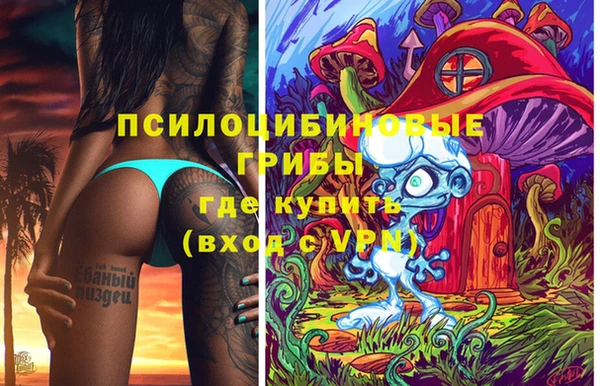 спиды Арсеньев