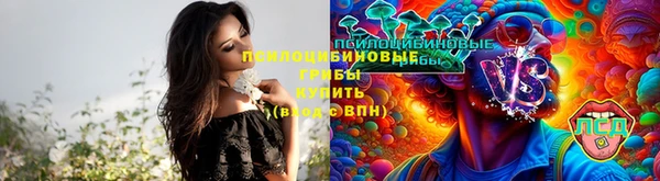 прущая мука Армянск